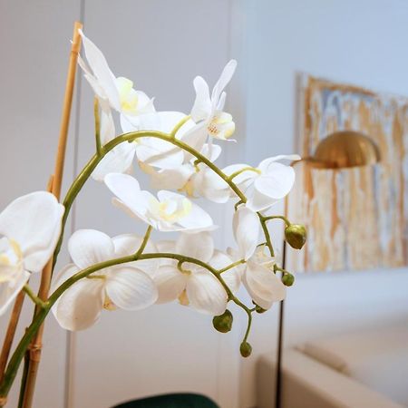 Tirso Suite マドリード エクステリア 写真